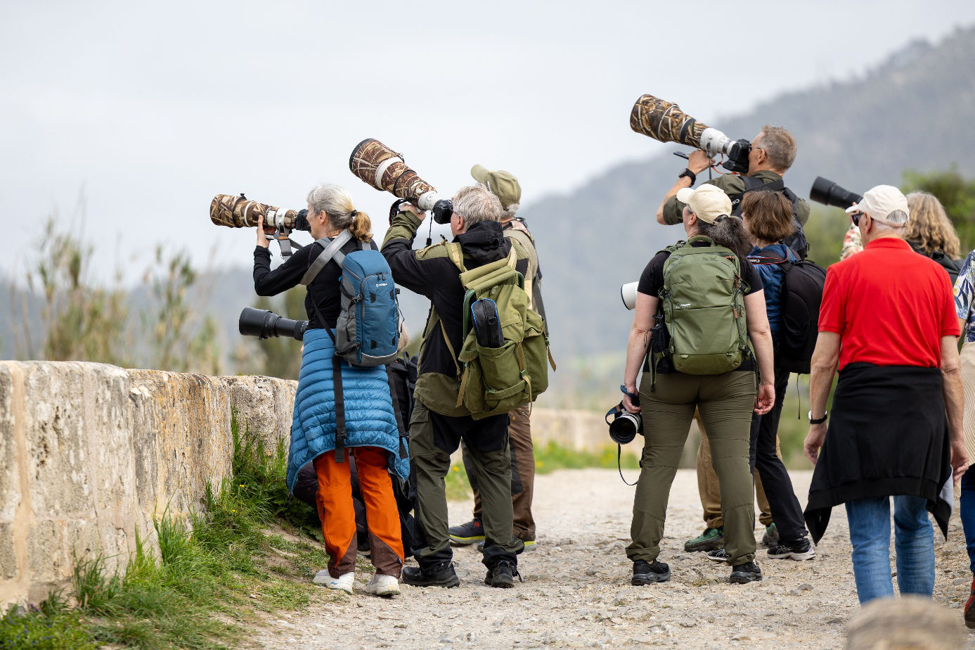På tur med fuglevenner til Mallorca – S’Albufera Naturreservat